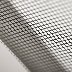 Insekten Netz Gewebe Nahaufnahme