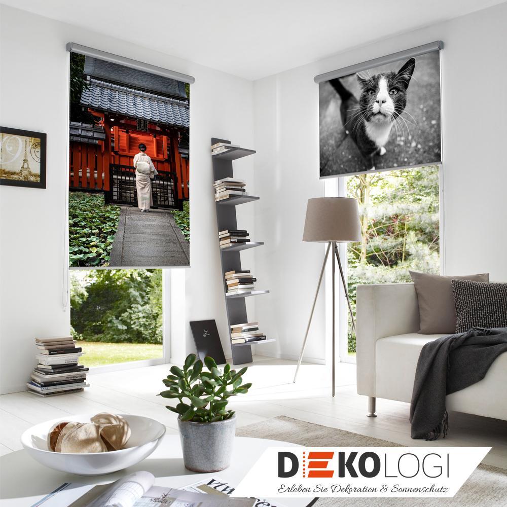 Fotorollo mit Katzen und Asia Motiv