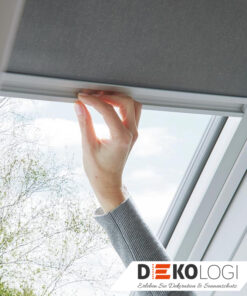 Vier Roto Exklusiv Rollo Holzfenster