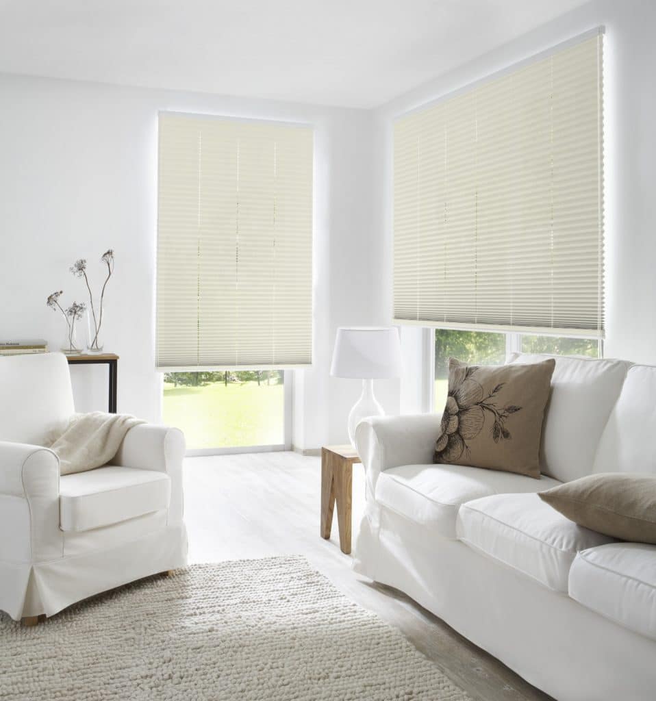 Zwei Wohnzimmer Plissees beige Wohnzimmer