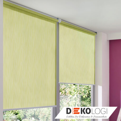 Sichtschutzrollo grün im Wohnraum