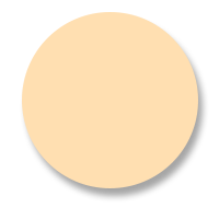 Flächenvorhang Farbmuster creme